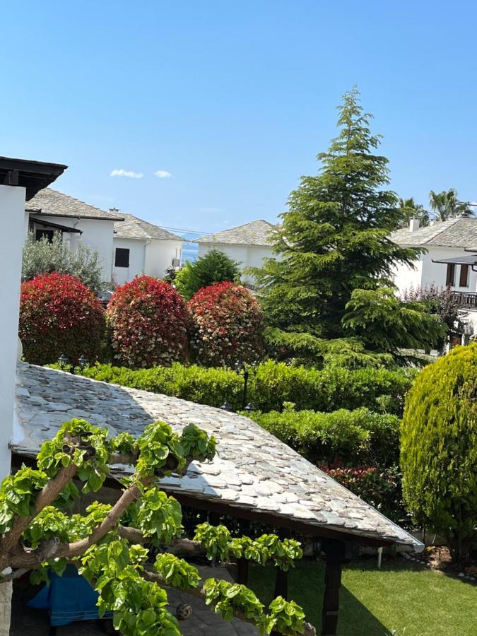 Apartmán Blue Dream Koropi Pelion Milies South Pelion Exteriér fotografie